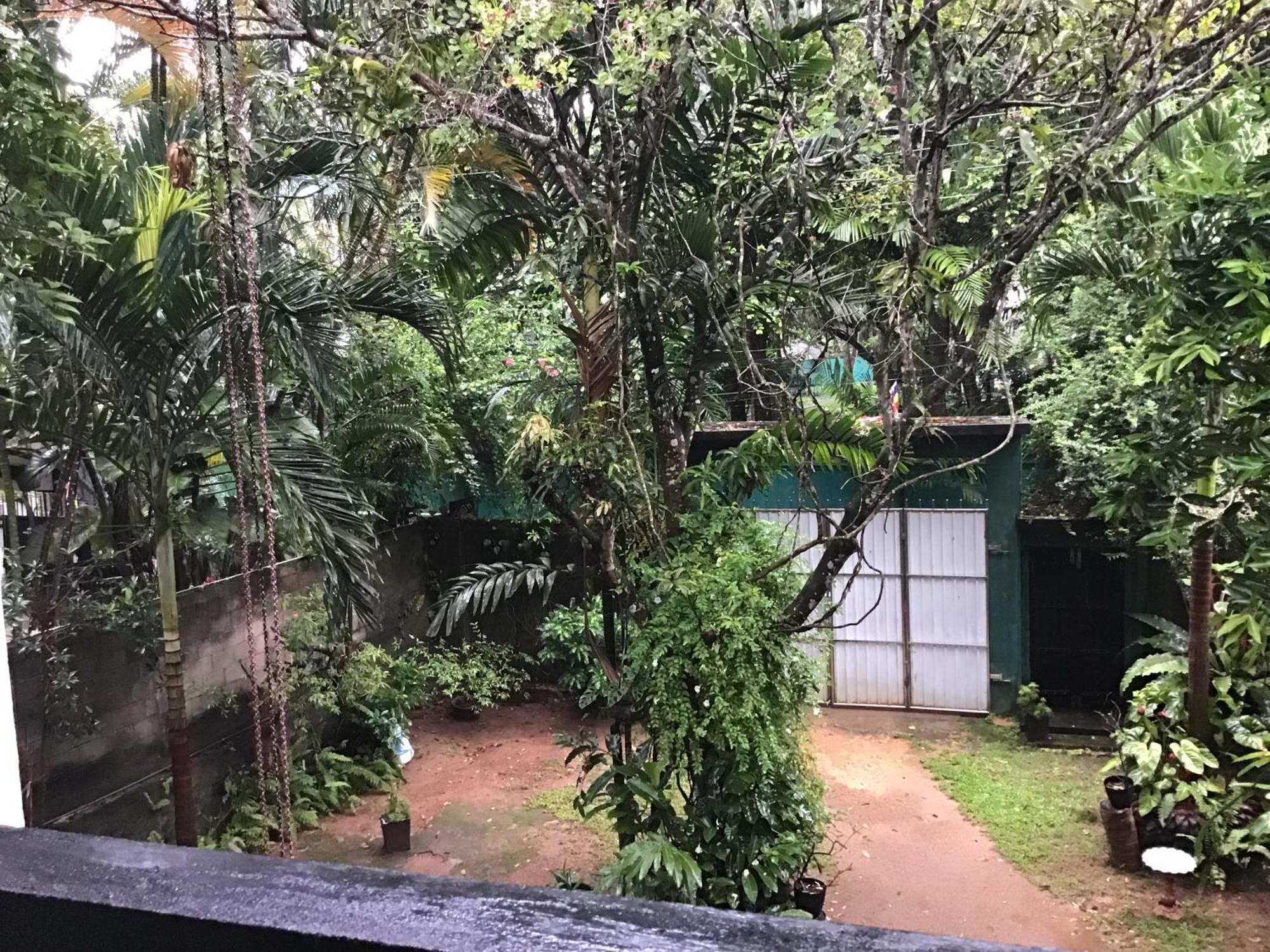 Sanjeehome & Lanka Ayurveda, Бентота Экстерьер фото